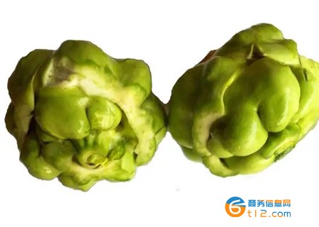 榨菜是什么菜做的